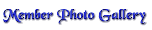 AMCGH Page Name
