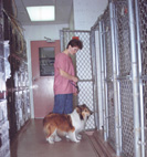 Kennels