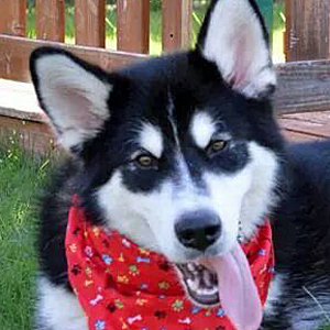 Jax