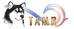 TAMR Logo