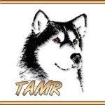 TAMR Logo